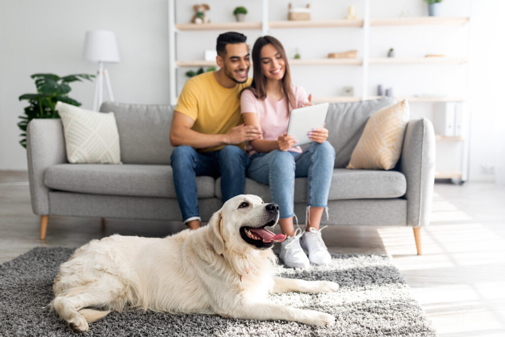 Pet amenities renters want in 2025