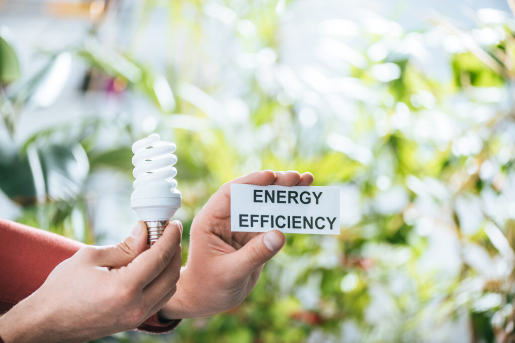 Green living upgrades as part of 2025 renter amenities
